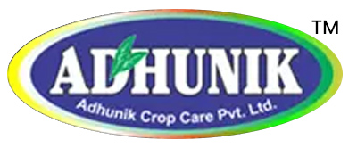 ADHUNIK